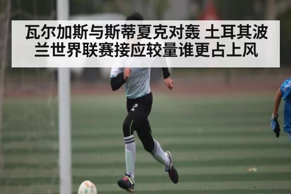 瓦尔加斯与斯蒂夏克对轰 土耳其波兰世界联赛接应较量谁更占上风